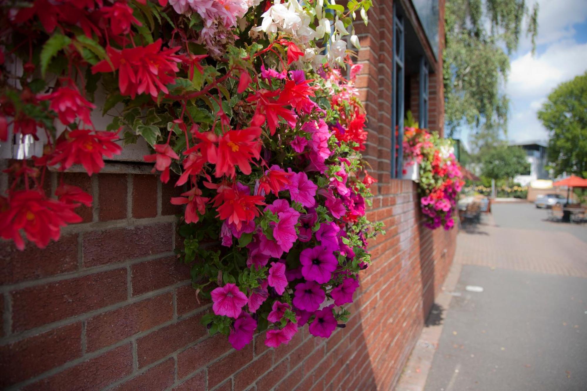 The Alexander Pope Hotel Twickenham Dış mekan fotoğraf